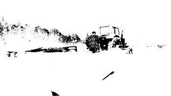 Жизнь вокруг / ***