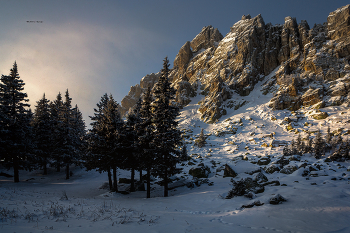 Откликной гребень / ***