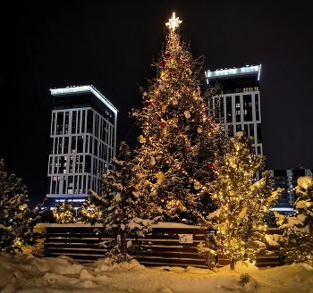 Golden / Ёлку в золотистых тонах в центре города у катка установили городские власти (на фото лишь зафиксирован цвет и оттенок :)).