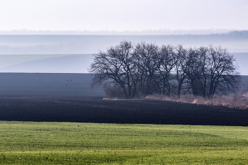 Земля парит / ***