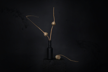 ... в низком ключе ... / ***