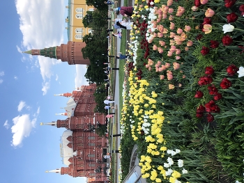 Москва весенняя / ***