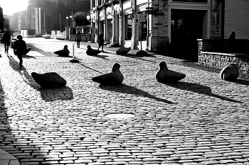 &nbsp; / ..................................................