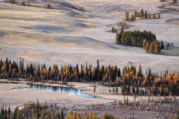 Заморозки / ***