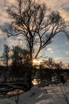 Зимнее солнце / ***