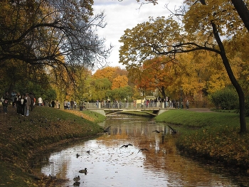 Осень в Таврическом саду / Санкт-Петербург
