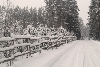 Дорогами родины / Места, где мы проводим солидную часть своей жизни