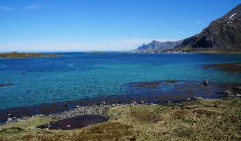 Заполярные краски / ***