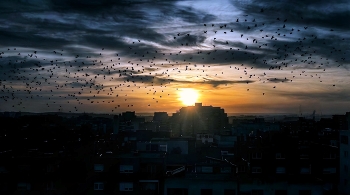 &nbsp; / Reus - clareja el dia - Baix Camp