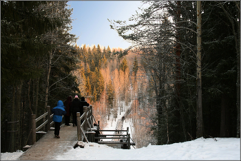 Зимние прогулки. / В окрестностях Архангельска. Январь.