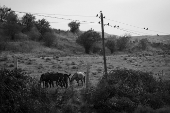 название... / описание...