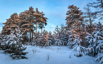 Зимний вечер / ***