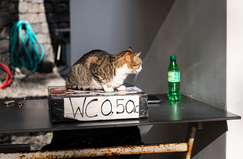 «Вы не Сидоров — кассир. / ***