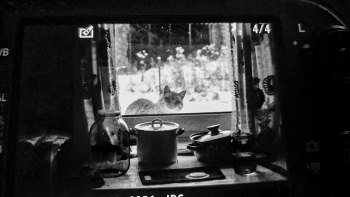 Пейзажизнь / ***