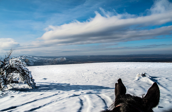 Ослепительный снег / Крым