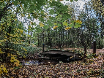 &nbsp; / через ручей...