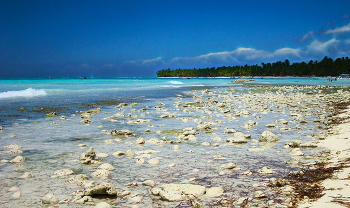 Утренняя прогулка к морю / Доминиканская республика