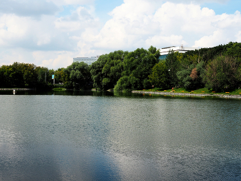 В городском парке / Парк стадиона Москвич. Август 2024.