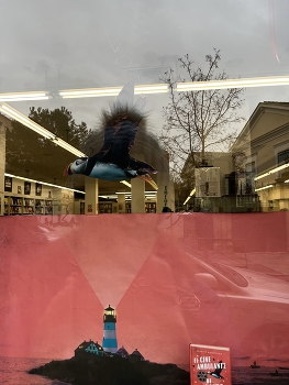 Пролетая над / ***