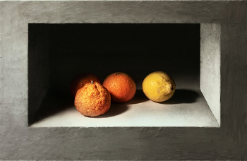 цитрусы / цитрусы