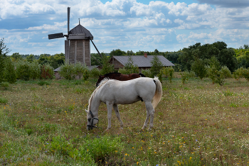 Тарханы / ***