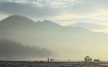 вечерний смок / ***
