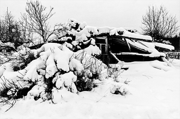 Пейзажизнь / ***