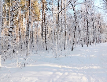 Мороз и солнце / ***