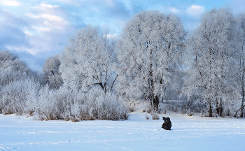 Замёрзшая красота.. / ***