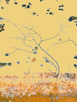 весна 2026 / ***