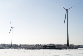 Великаны в полдень / ***