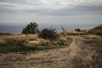 Между Летом и Осенью / Между летом и осенью крохотный шаг,
Но ещё он одну подытожит страницу,
И чуть-чуть затуманятся грустью глаза,
Наблюдая, как к югу потянутся птицы.

Между летом и осенью тонкая грань,
Только музыка сердца меняет все ноты,.
С бесшабашности юной слетает вуаль,
Возвращая все мысли в дела и заботы.

Между летом и осенью несколько дней,
Превращающих грёзы в часы ожиданий,
Вдоль дорог свет забытых уже фонарей,
Словно свечек зажжённых в минуты прощаний.

Между летом и осенью грусти штрихи,
Настроения волны и смена погоды,
Ностальгия, текущая прямо в стихи,
Оголённость души … и капризы природы.
Светлана Пугач