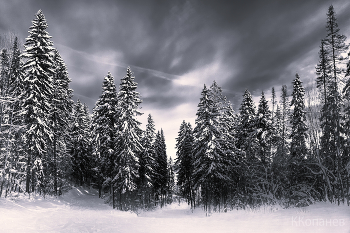 Январь / Где - то