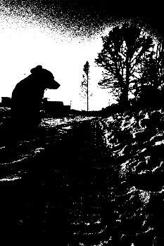 Пейзажизнь / ***