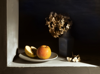 контраст / в нише