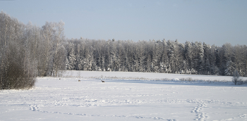 На обеде / ***