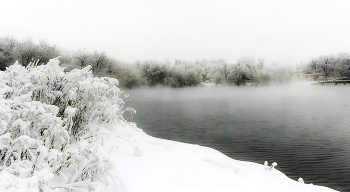 Залив незамерзающей реки / Зимние сюжеты