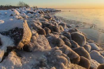 Ледяное утро.......... / Санкт-Петербург. Зеленогорск. Декабрь