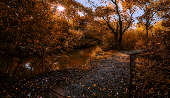 Дорожка. / Парк природного заказника реки Сетунь.