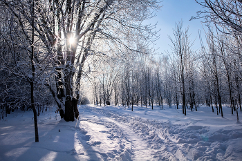 Утро морозное / Пейзаж Беларуси