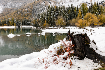 Ранний снег / ***