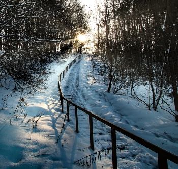 Морозный день / ***