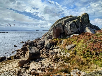 &nbsp; / San Vicente do Mar (O Grove) - Pedras negras (roca forma tortuga) - Pontevedra