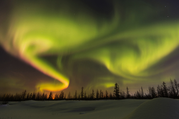 Орнаменты ямальского неба / Вчера небо подарило прекрасную возможность полюбоваться красотой завораживающего северного сияния! В то время как по прогнозу небо должно было быть облачным, на нем красовались звезды, а это первый признак, что небо чистое и можно увидеть аврору. Она вчера была восхитительной! Я еле успела, установила камеры и шоу началось, как-будто только меня и ждали) Бурлящие волны сияния быстро перемещались по всему небу, рисуя красочные цветные орнаменты. В такие моменты хочется обнять все небо, окунуться с головой в это бушующее теплое море красок, цветов и оттенков! ЯНАО, Новый Уренгой, 16.01.2026