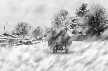 Пейзажизнь / ***