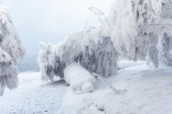 Наморозило / Куржак у реки