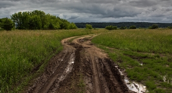 Июньское ненастье / Пригородная грунтовка