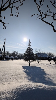 морозный день / ***