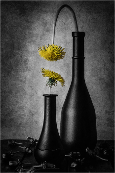 Естественный отбор / ***