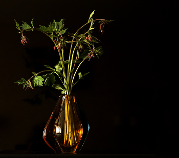 Весенний букетик / ***